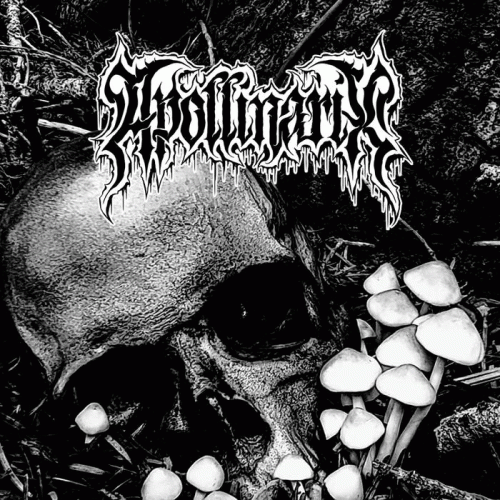 Apollinarix : Endless Nights